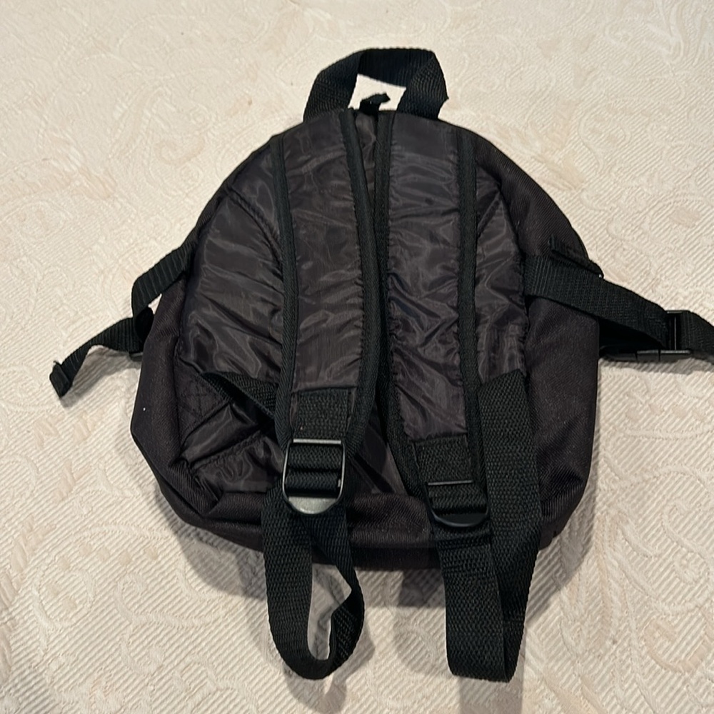 2 for $20! Mini backpack! - Picture 2 of 7